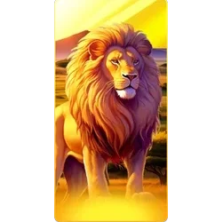 Lion
Safari